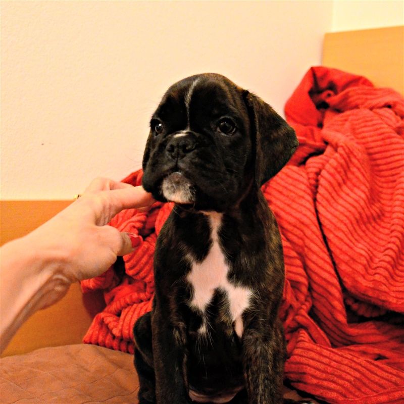7 weeks